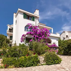 Delfin Apartment